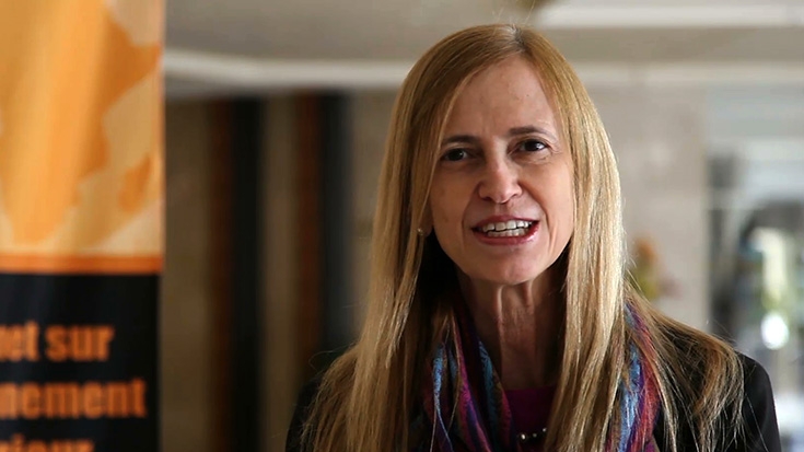 Sommet sur l'enseignement supérieur en Afrique : Claudia Costin